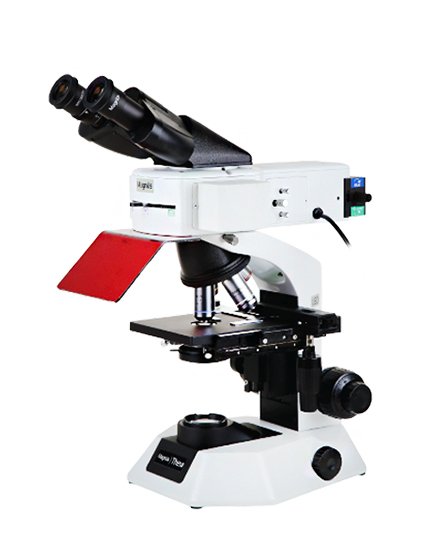 Ophthalmology